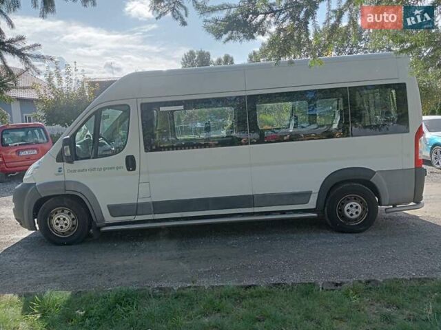 Белый Фиат Дукато, объемом двигателя 0 л и пробегом 280 тыс. км за 15500 $, фото 8 на Automoto.ua