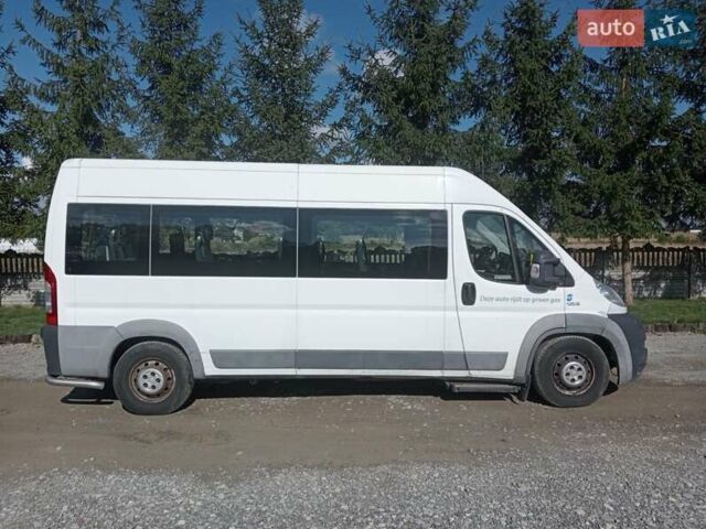 Белый Фиат Дукато, объемом двигателя 0 л и пробегом 280 тыс. км за 15500 $, фото 9 на Automoto.ua