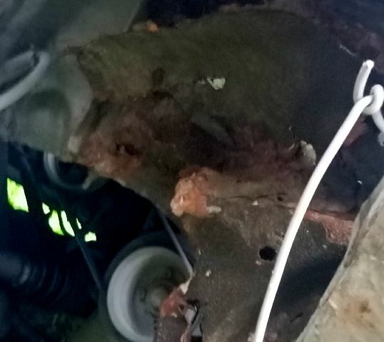 Фиат Дукато, объемом двигателя 1.9 л и пробегом 0 тыс. км за 1200 $, фото 11 на Automoto.ua