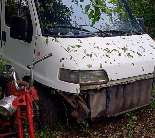 Фиат Дукато, объемом двигателя 1.9 л и пробегом 0 тыс. км за 1200 $, фото 5 на Automoto.ua