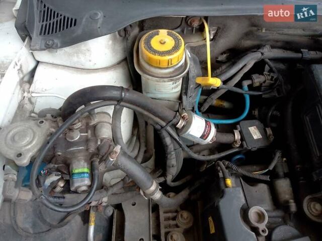 Фиат Линеа, объемом двигателя 0 л и пробегом 256 тыс. км за 4500 $, фото 5 на Automoto.ua