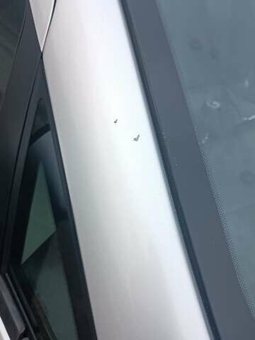 Сірий Фіат Лінеа, об'ємом двигуна 1.37 л та пробігом 253 тис. км за 4000 $, фото 11 на Automoto.ua