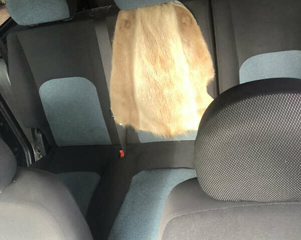 Чорний Фіат Добло, об'ємом двигуна 1.4 л та пробігом 109 тис. км за 4800 $, фото 5 на Automoto.ua