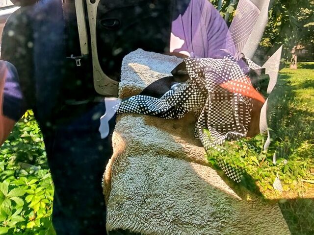 Фиат Добло, объемом двигателя 1.3 л и пробегом 290 тыс. км за 2700 $, фото 4 на Automoto.ua