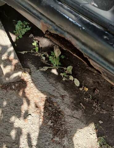 Фиат Добло 2011 в Борисполе на Automoto.ua Серый Фиат Добло, объемом двигателя 1.4 л и пробегом 100 тыс. км за 2500 $, фото 6 на Automoto.ua