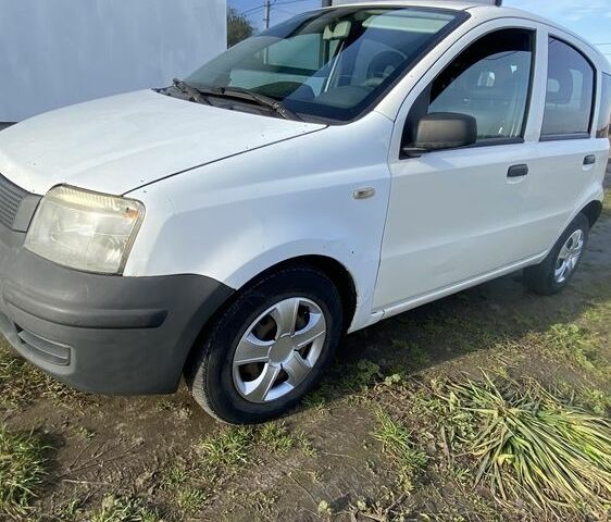 Белый Фиат Панда, объемом двигателя 1.1 л и пробегом 247 тыс. км за 2500 $, фото 5 на Automoto.ua