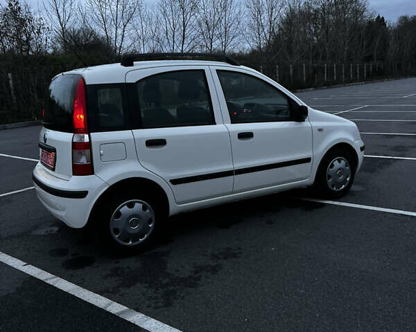 Білий Фіат Панда, об'ємом двигуна 1.2 л та пробігом 124 тис. км за 3900 $, фото 60 на Automoto.ua