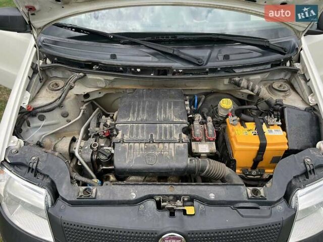 Белый Фиат Панда, объемом двигателя 1.24 л и пробегом 128 тыс. км за 3300 $, фото 2 на Automoto.ua