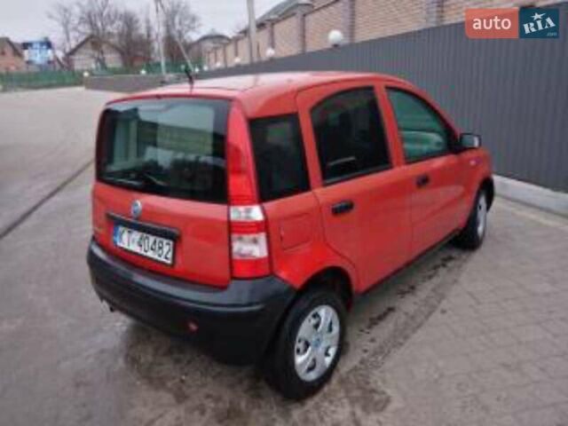 Красный Фиат Панда, объемом двигателя 1 л и пробегом 300 тыс. км за 2800 $, фото 11 на Automoto.ua