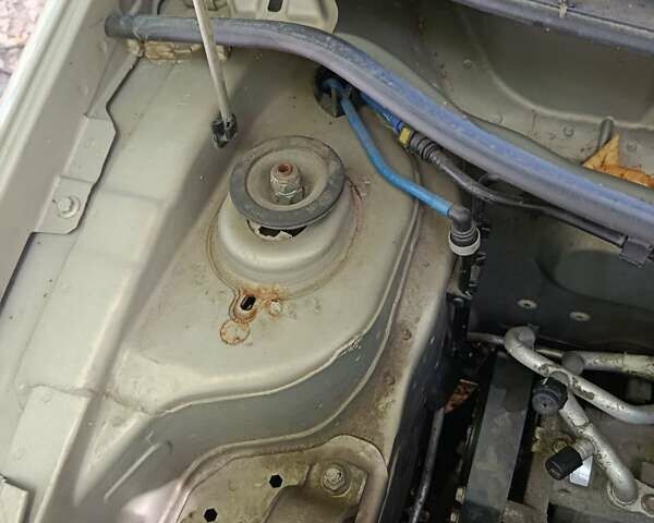 Фиат Пунто 2010 в Кременчуге на Automoto.ua Бежевый Фиат Пунто, объемом двигателя 1.24 л и пробегом 71 тыс. км за 4500 $, фото 30 на Automoto.ua