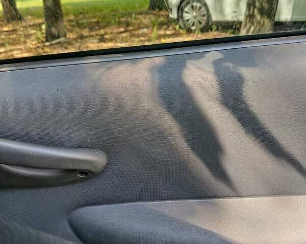 Фиат Пунто 2010 в Кременчуге на Automoto.ua Бежевый Фиат Пунто, объемом двигателя 1.24 л и пробегом 71 тыс. км за 4500 $, фото 11 на Automoto.ua