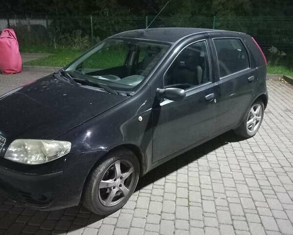 Фиат Пунто 2008 в Киеве на Automoto.ua Черный Фиат Пунто, объемом двигателя 1.24 л и пробегом 150 тыс. км за 3500 $, фото 27 на Automoto.ua