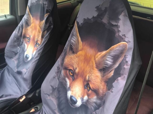 Черный Фиат Пунто, объемом двигателя 1.2 л и пробегом 200 тыс. км за 1656 $, фото 3 на Automoto.ua