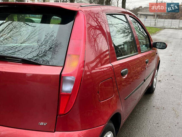 Красный Фиат Пунто, объемом двигателя 1.3 л и пробегом 234 тыс. км за 3990 $, фото 14 на Automoto.ua