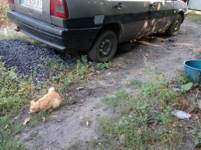 Сірий Фіат Темпра, об'ємом двигуна 1.9 л та пробігом 20 тис. км за 473 $, фото 1 на Automoto.ua