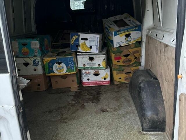 Форд Другая, объемом двигателя 0 л и пробегом 0 тыс. км за 1800 $, фото 1 на Automoto.ua