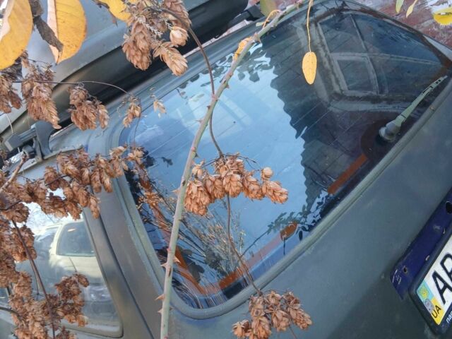 Зеленый Форд Другая, объемом двигателя 1.4 л и пробегом 300 тыс. км за 300 $, фото 6 на Automoto.ua