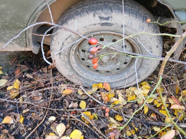 Зеленый Форд Другая, объемом двигателя 1.4 л и пробегом 300 тыс. км за 300 $, фото 7 на Automoto.ua