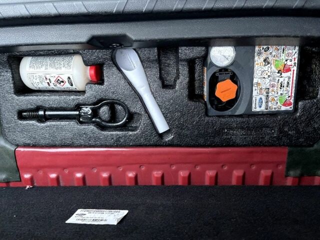 Червоний Форд Екоспорт, об'ємом двигуна 2 л та пробігом 89 тис. км за 13900 $, фото 22 на Automoto.ua