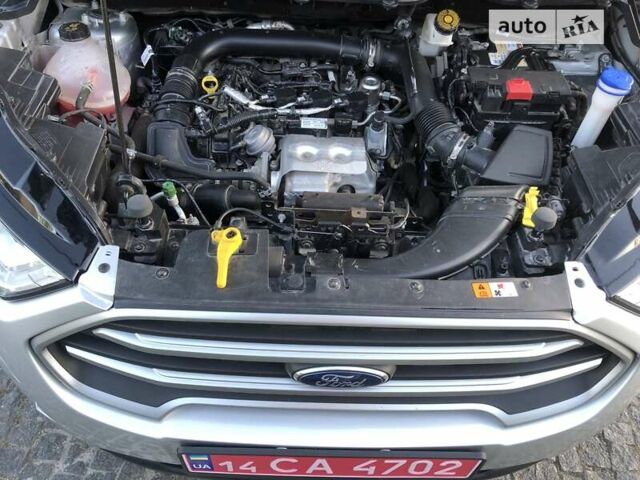 Серый Форд Экоспорт, объемом двигателя 1 л и пробегом 31 тыс. км за 12600 $, фото 111 на Automoto.ua