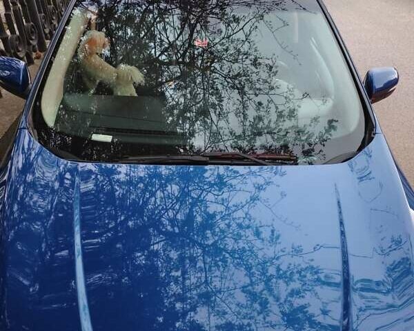 Синий Форд Эдж, объемом двигателя 2 л и пробегом 63 тыс. км за 24000 $, фото 3 на Automoto.ua