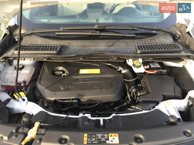 Білий Форд Ескейп, об'ємом двигуна 1.6 л та пробігом 247 тис. км за 10500 $, фото 14 на Automoto.ua