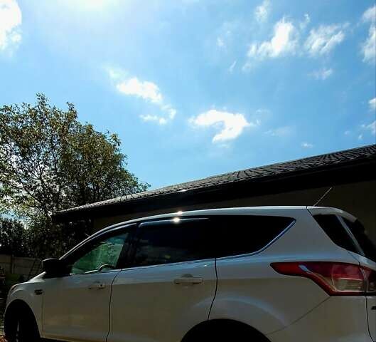 Білий Форд Ескейп, об'ємом двигуна 1.6 л та пробігом 195 тис. км за 10200 $, фото 5 на Automoto.ua