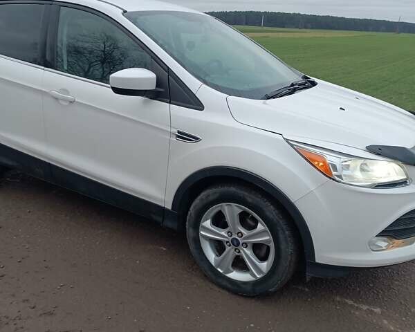 Білий Форд Ескейп, об'ємом двигуна 1.6 л та пробігом 300 тис. км за 11000 $, фото 1 на Automoto.ua