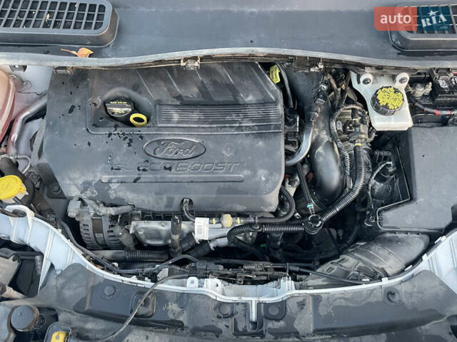 Білий Форд Ескейп, об'ємом двигуна 1.5 л та пробігом 145 тис. км за 12500 $, фото 19 на Automoto.ua