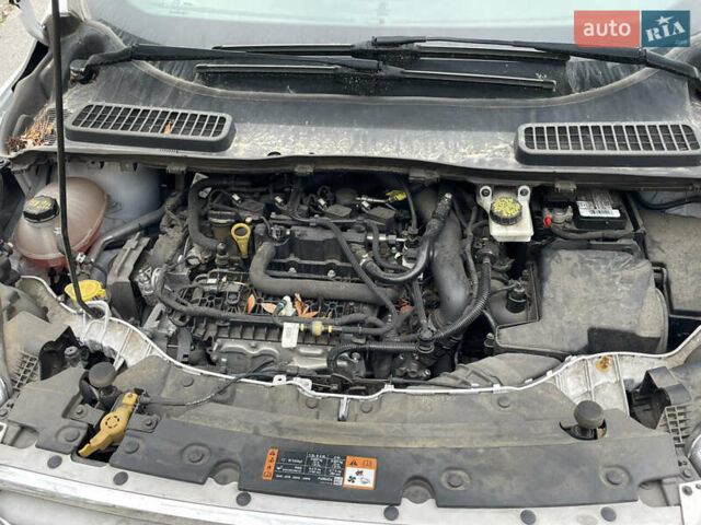 Білий Форд Ескейп, об'ємом двигуна 1.5 л та пробігом 336 тис. км за 8450 $, фото 20 на Automoto.ua