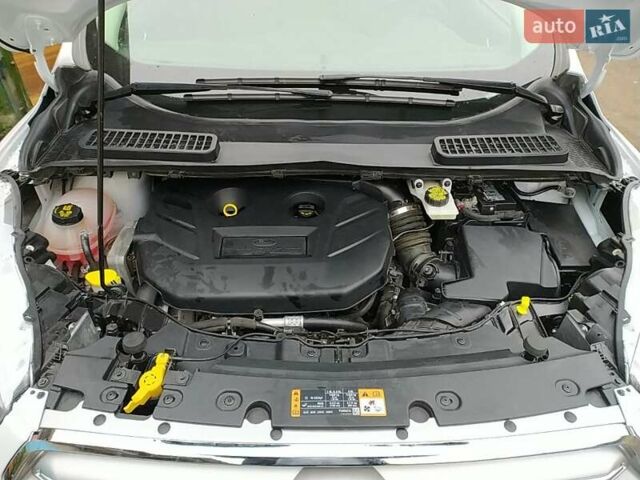 Белый Форд Эскейп, объемом двигателя 2 л и пробегом 75 тыс. км за 19500 $, фото 4 на Automoto.ua