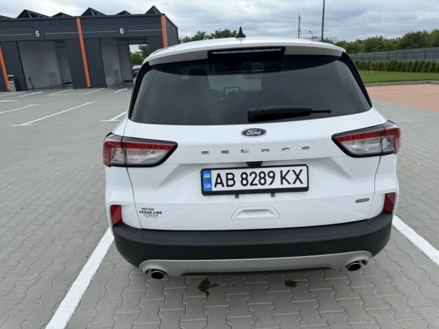 Форд Эскейп 2021 в Виннице на Automoto.ua Белый Форд Эскейп, объемом двигателя 2.5 л и пробегом 71 тыс. км за 18800 $, фото 11 на Automoto.ua