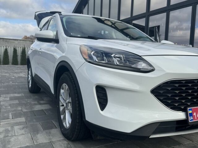 Белый Форд Эскейп, объемом двигателя 2.5 л и пробегом 60 тыс. км за 20800 $, фото 12 на Automoto.ua