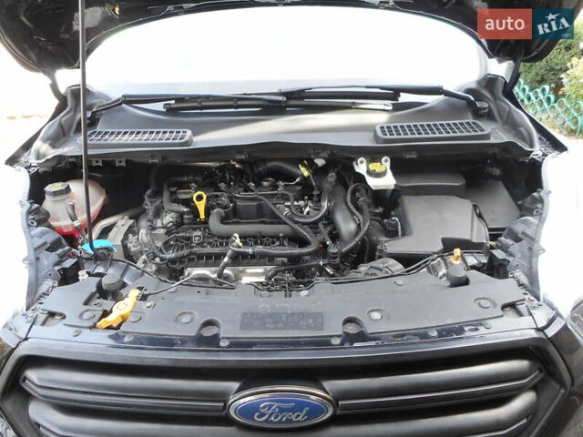 Форд Эскейп 2017 в Пирятине на Automoto.ua Черный Форд Эскейп, объемом двигателя 1.5 л и пробегом 122 тыс. км за 12880 $, фото 25 на Automoto.ua