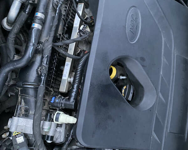 Форд Эскейп 2019 в Киеве на Automoto.ua Черный Форд Эскейп, объемом двигателя 1.5 л и пробегом 184 тыс. км за 16500 $, фото 40 на Automoto.ua