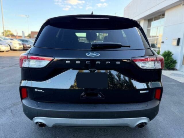 Форд Эскейп 2020 в Днепре (Днепропетровске) на Automoto.ua Черный Форд Эскейп, объемом двигателя 1.5 л и пробегом 40 тыс. км за 13000 $, фото 6 на Automoto.ua