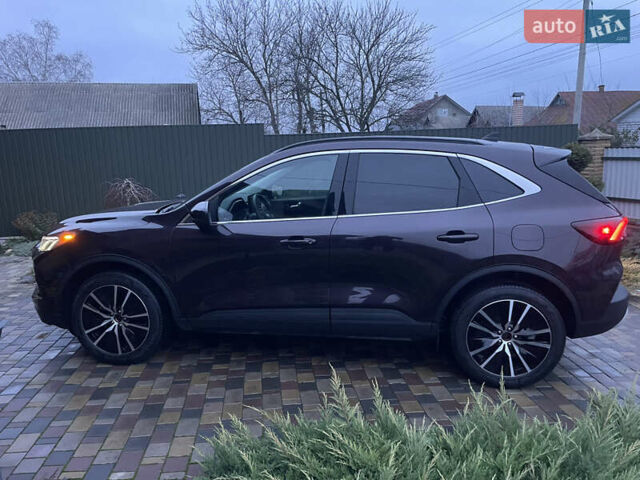 Коричневый Форд Эскейп, объемом двигателя 2.5 л и пробегом 37 тыс. км за 29700 $, фото 16 на Automoto.ua