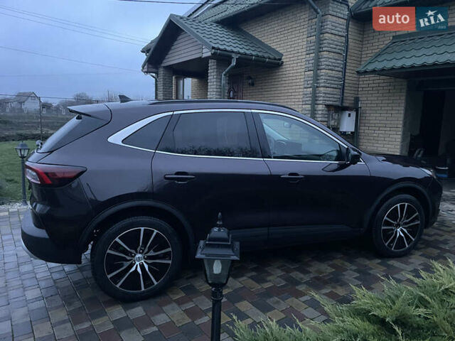 Коричневый Форд Эскейп, объемом двигателя 2.5 л и пробегом 37 тыс. км за 29700 $, фото 28 на Automoto.ua