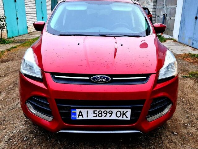 Форд Эскейп 2012 в Броварах на Automoto.ua Красный Форд Эскейп, объемом двигателя 1.6 л и пробегом 295 тыс. км за 10000 $, фото 1 на Automoto.ua