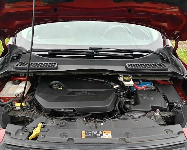 Червоний Форд Ескейп, об'ємом двигуна 1.6 л та пробігом 272 тис. км за 9300 $, фото 37 на Automoto.ua