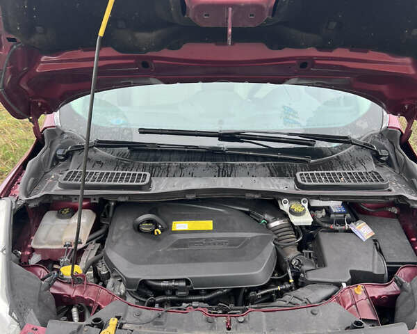 Красный Форд Эскейп, объемом двигателя 1.6 л и пробегом 81 тыс. км за 13000 $, фото 6 на Automoto.ua