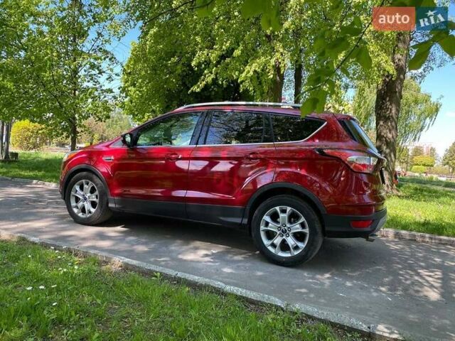 Червоний Форд Ескейп, об'ємом двигуна 1.6 л та пробігом 116 тис. км за 15400 $, фото 72 на Automoto.ua