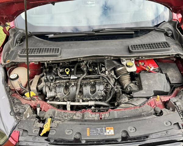 Форд Ескейп 2016 у Нетешине на Automoto.ua Червоний Форд Ескейп, об'ємом двигуна 2 л та пробігом 111 тис. км за 14700 $, фото 71 на Automoto.ua