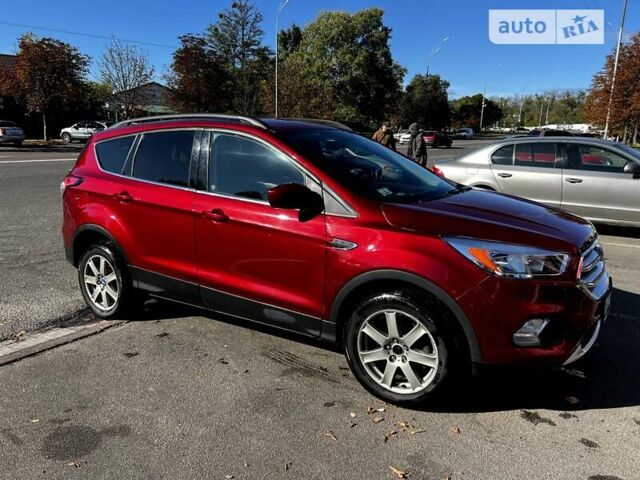 Красный Форд Эскейп, объемом двигателя 1.5 л и пробегом 103 тыс. км за 10500 $, фото 52 на Automoto.ua