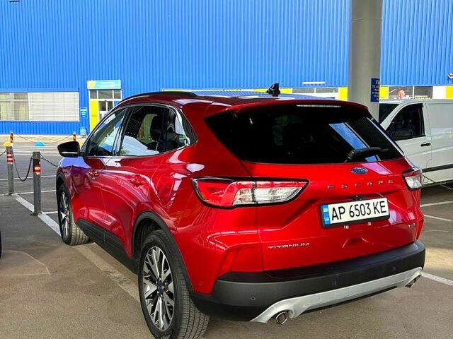 Красный Форд Эскейп, объемом двигателя 2.5 л и пробегом 17 тыс. км за 23500 $, фото 2 на Automoto.ua