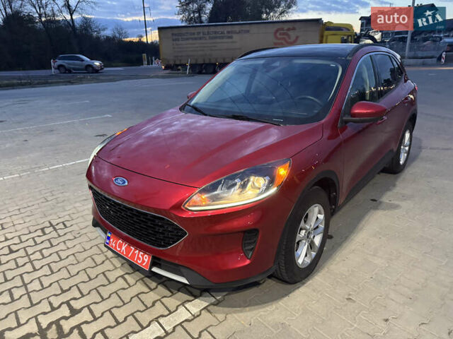 Форд Эскейп 2020 в Львове на Automoto.ua Красный Форд Эскейп, объемом двигателя 1.5 л и пробегом 53 тыс. км за 14800 $, фото 1 на Automoto.ua