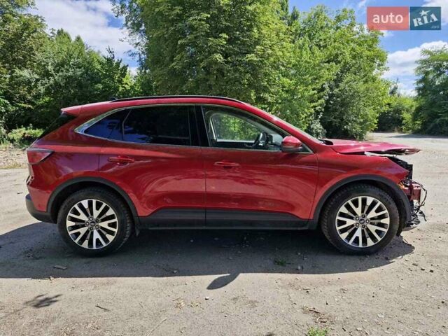 Красный Форд Эскейп, объемом двигателя 2.5 л и пробегом 56 тыс. км за 14500 $, фото 1 на Automoto.ua