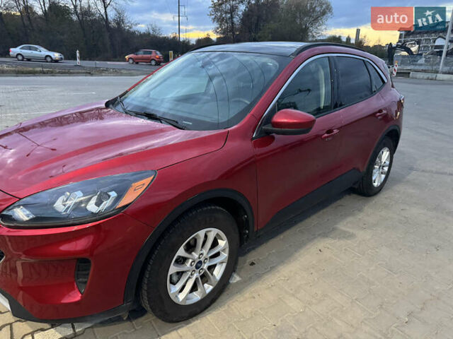 Форд Эскейп 2020 в Львове на Automoto.ua Красный Форд Эскейп, объемом двигателя 1.5 л и пробегом 53 тыс. км за 14800 $, фото 4 на Automoto.ua