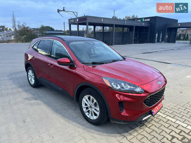 Форд Эскейп 2020 в Львове на Automoto.ua Красный Форд Эскейп, объемом двигателя 1.5 л и пробегом 53 тыс. км за 14800 $, фото 3 на Automoto.ua