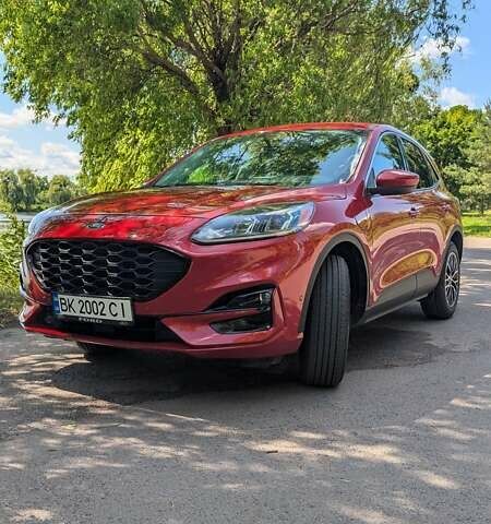 Красный Форд Эскейп, объемом двигателя 2.5 л и пробегом 39 тыс. км за 24500 $, фото 19 на Automoto.ua